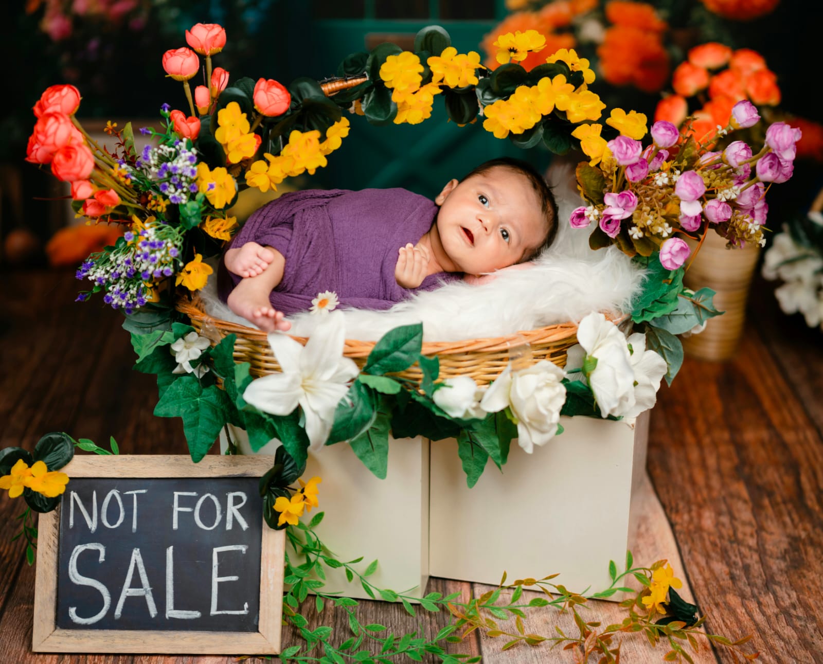 WhatsApp Image 2025-09-11 at 13.38.10 (1)